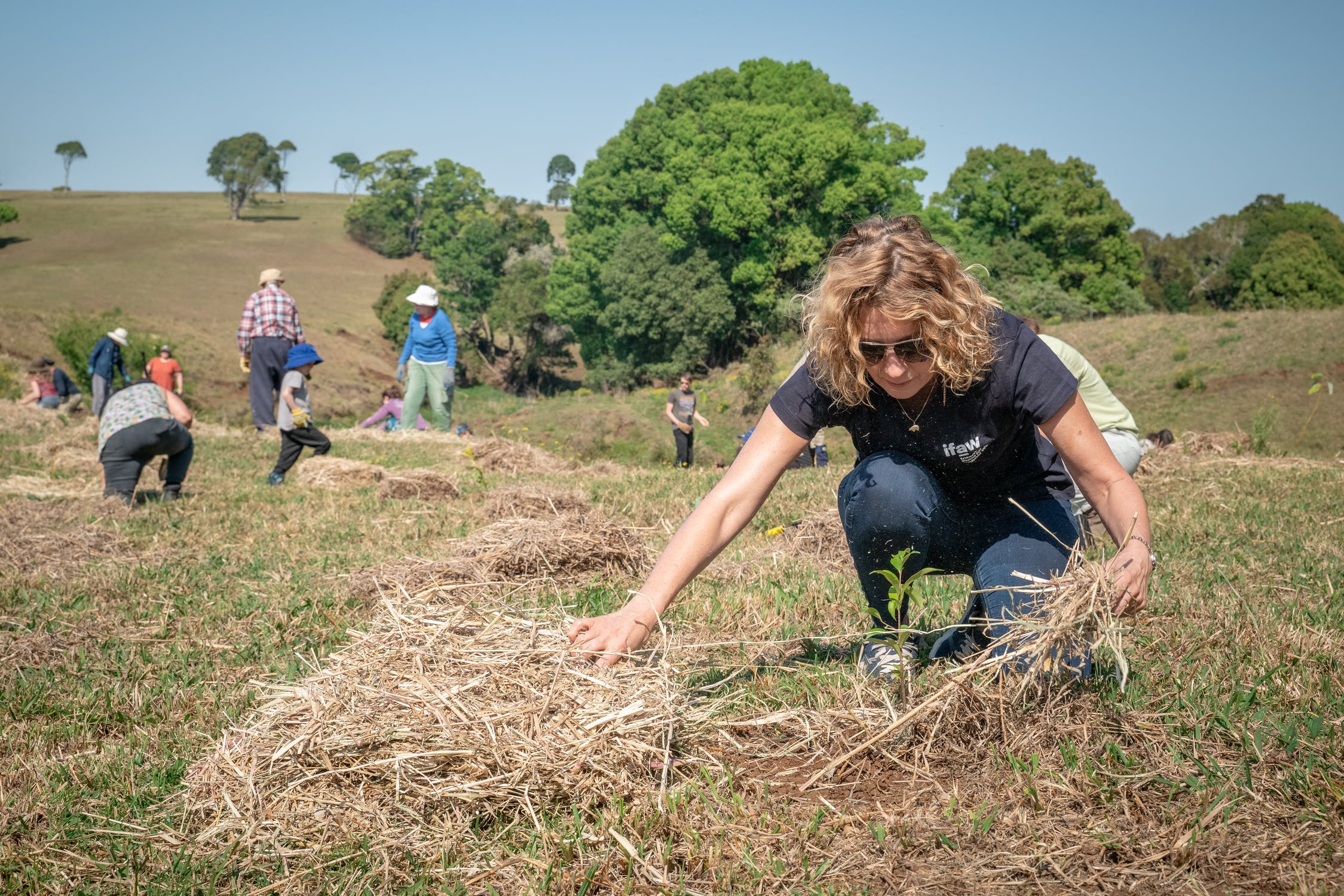 BVLOS Waiver Approved For Drone Reforesting Fleet SEN Drone News